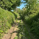 The Guest At Champs Gæstehus 3*