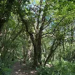 Gæstehus The Guest At Champs Saint Mary