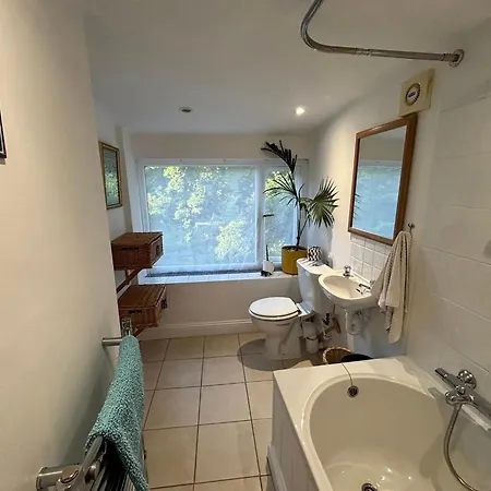 The Guest At Champs 3*