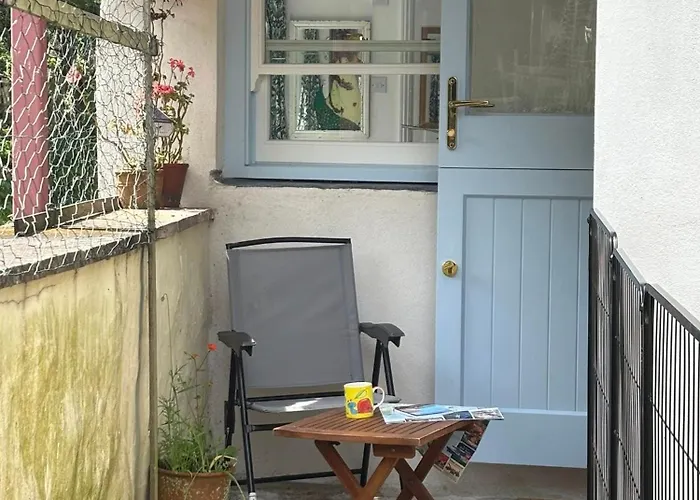 The Guest At Champs Saint Mary