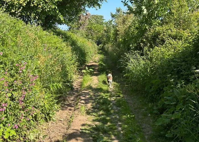 The Guest At Champs Maison d'hôtes 3*