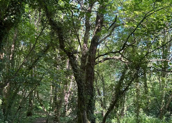 بيت ضيافة The Guest At Champs Saint Mary