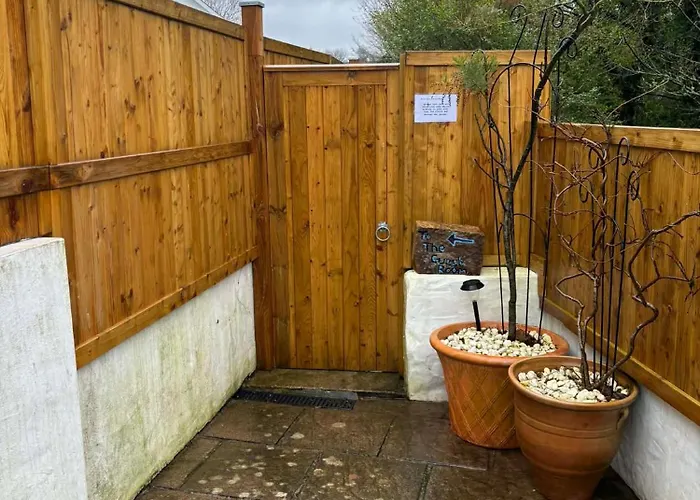 The Guest At Champs 3*