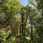 The Guest At Champs Saint Mary