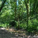 The Guest At Champs 3* Saint Mary