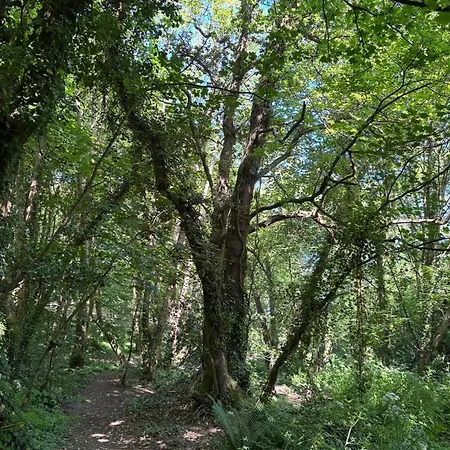 Πανσιόν The Guest At Champs Saint Mary