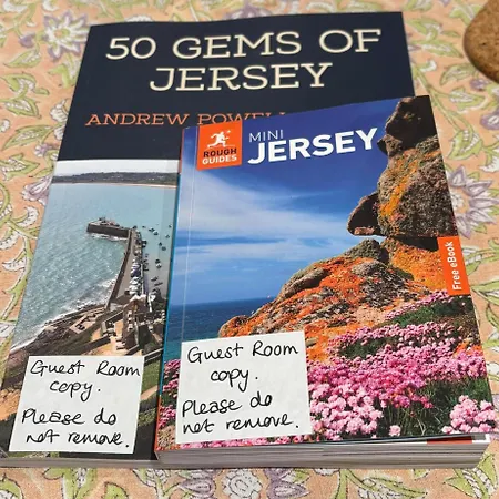 The Guest At Champs Gasthuis Saint Mary