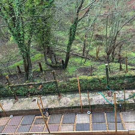 Konukevi The Guest At Champs 3*