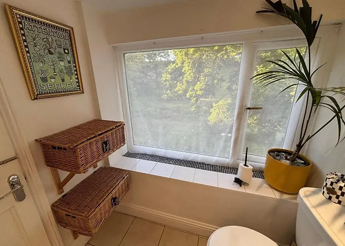 The Guest At Champs Saint Mary