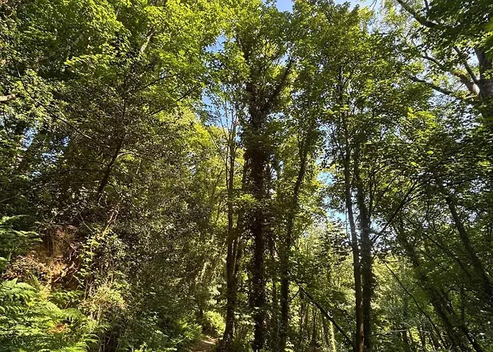 The Guest At Champs Saint Mary