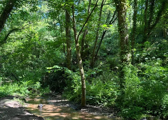 The Guest At Champs 3* Saint Mary