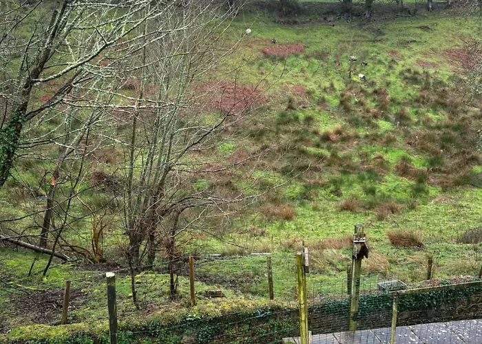 The Guest At Champs Konukevi Saint Mary